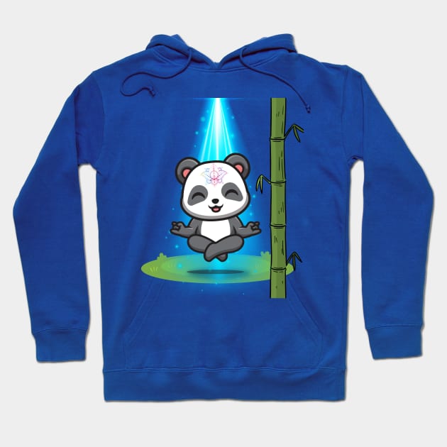 Panda Float Hoodie by DvsPrime8